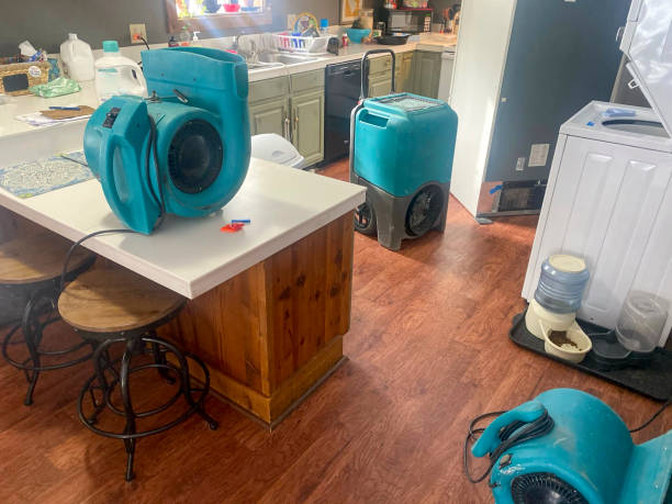 Best Residential water damage restoration  in Virginia, IL