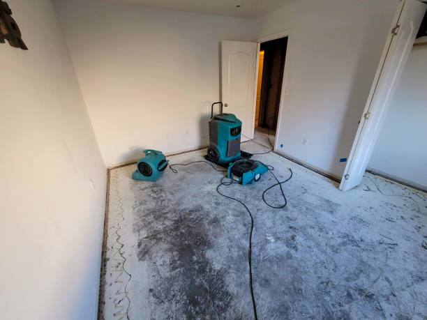 Best Emergency water damage restoration  in Virginia, IL