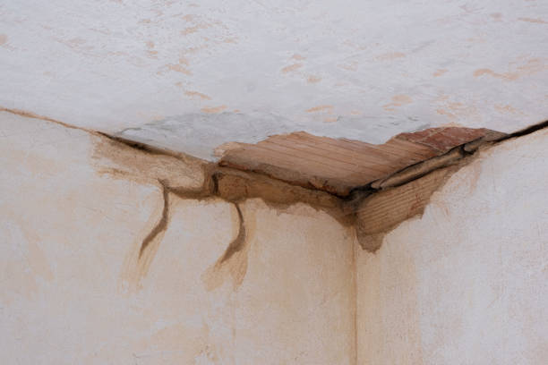 Best Flood damage cleanup  in Virginia, IL