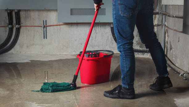 Best Emergency water damage restoration  in Virginia, IL