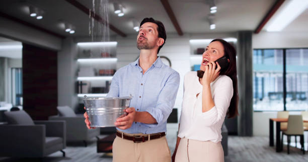 Best Water damage restoration near me  in Virginia, IL